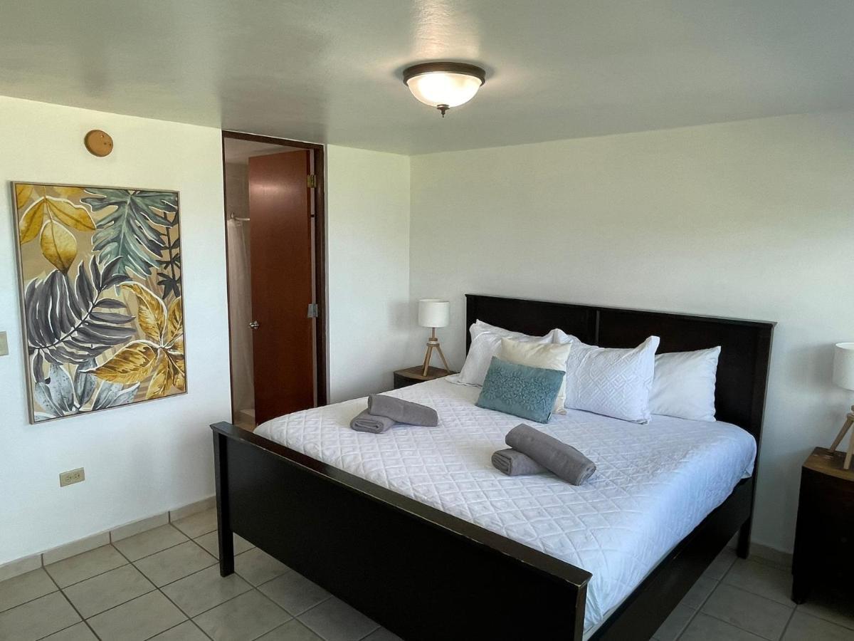 Costa Mar Beach Front Apartment Whith Pool Loiza Extérieur photo